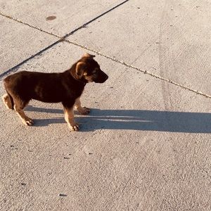 Meet your Posher, Ethan